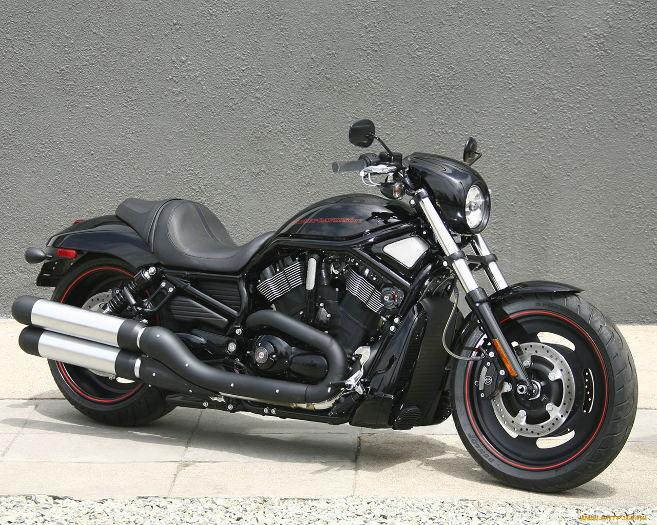 harley, davidson, vrscdx, rod, 2008, 